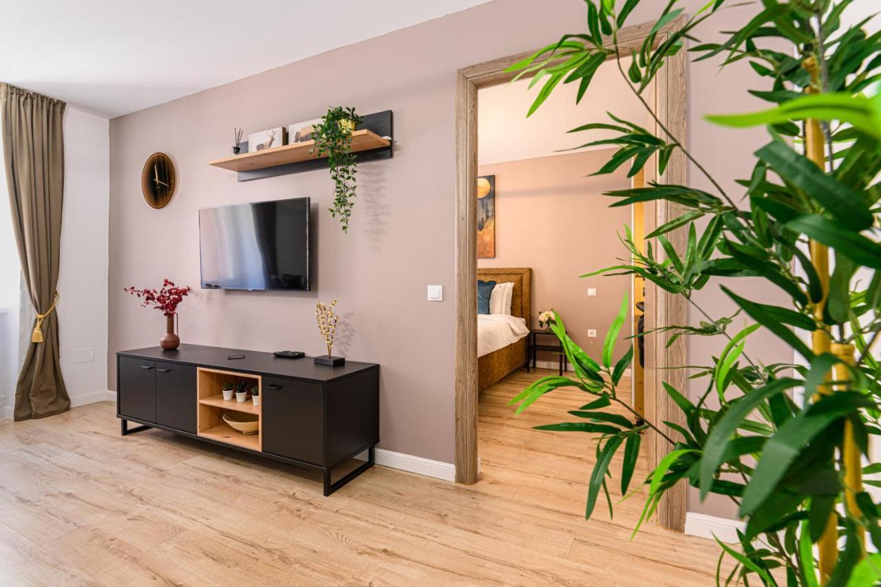 Schei Gate Apartment Brasov Exterior photo